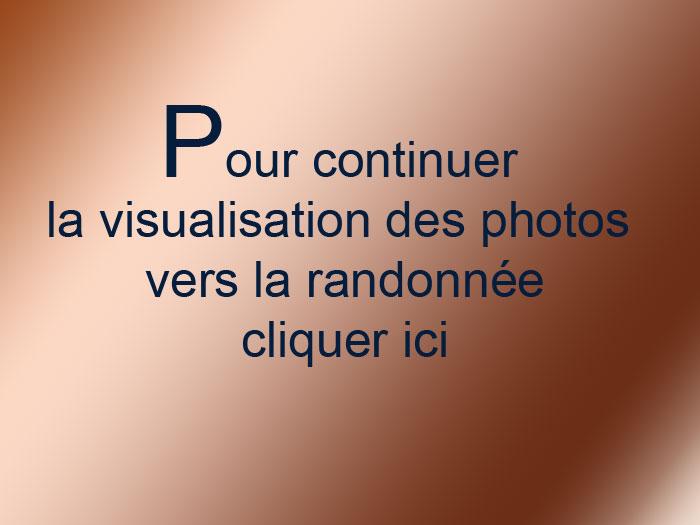 dia1
