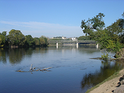Chinon