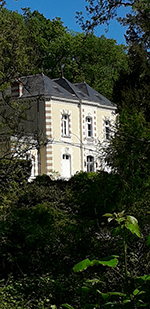 Chinon