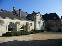 Chinon