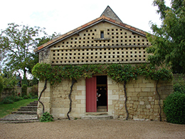 Chinon