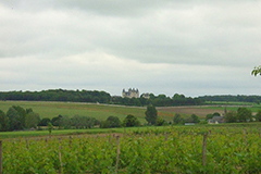Chinon