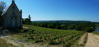 Chinon Panorama