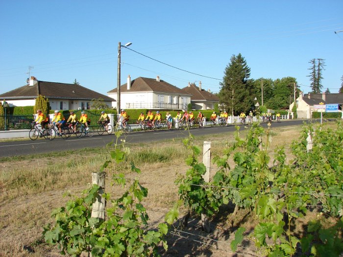 DSC06946