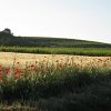 IMG_4538