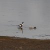 IMG_5053