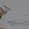 IMG_5064