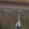 IMG_5067