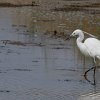 IMG_5071