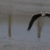 IMG_5082