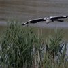 IMG_5083