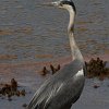 IMG_5112