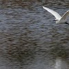 IMG_5121