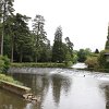 IMG_5201