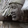 IMG_5203