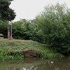IMG_5207