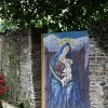 IMG_5208