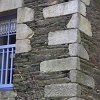 IMG_5251