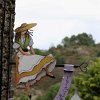 IMG_5255