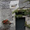 IMG_5258
