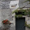 IMG_5259