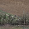 IMG_8503