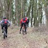 IMG_8530