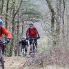 IMG_8543