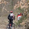 IMG_8547