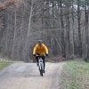 IMG_8567