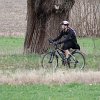 IMG_8598