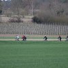 IMG_8613
