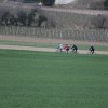 IMG_8614