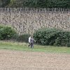 IMG_8626