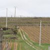 IMG_8627