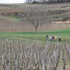 IMG_8630