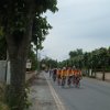 DSCF3087